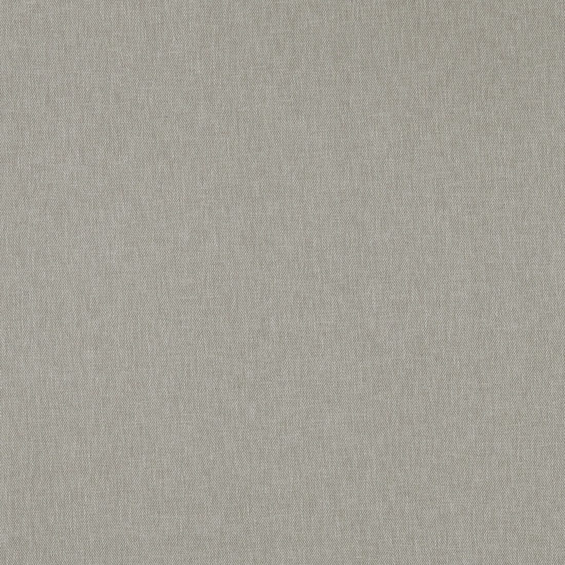 Orla fabric in pebble color - pattern F1572/17.CAC.0 - by Clarke And Clarke in the Orla By Studio G For C&amp;C collection
