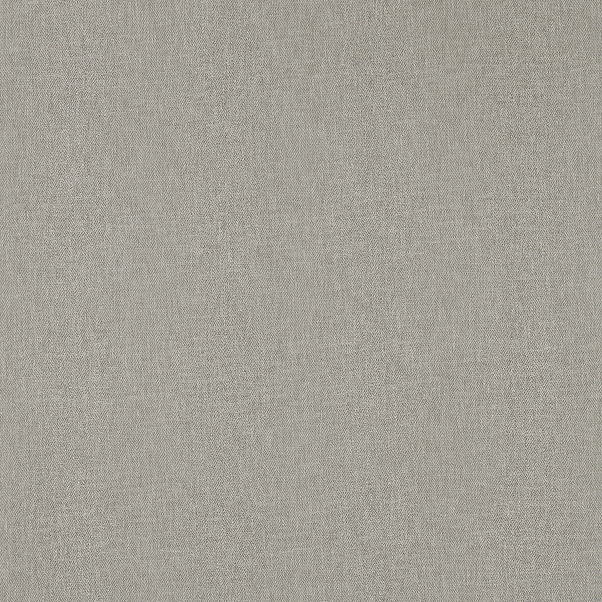 Orla fabric in pebble color - pattern F1572/17.CAC.0 - by Clarke And Clarke in the Orla By Studio G For C&C collection