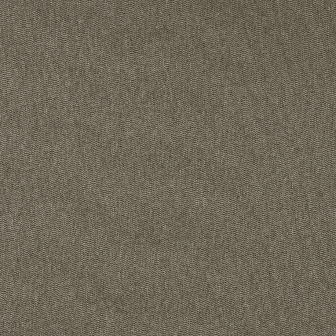 Orla fabric in putty color - pattern F1572/18.CAC.0 - by Clarke And Clarke in the Orla By Studio G For C&amp;C collection