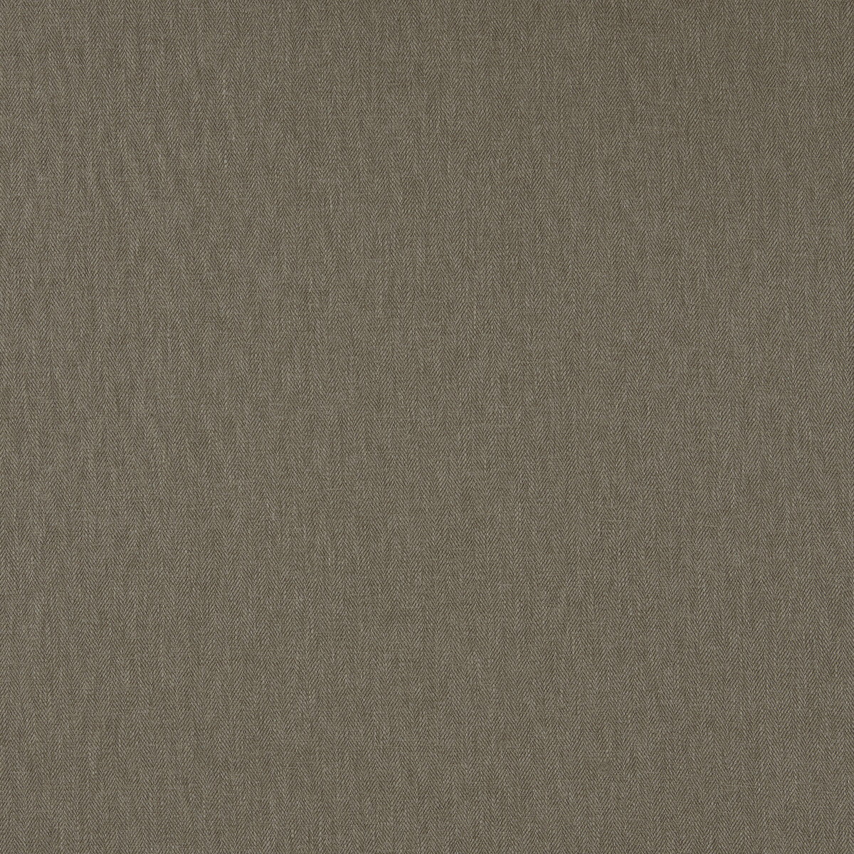 Orla fabric in putty color - pattern F1572/18.CAC.0 - by Clarke And Clarke in the Orla By Studio G For C&C collection