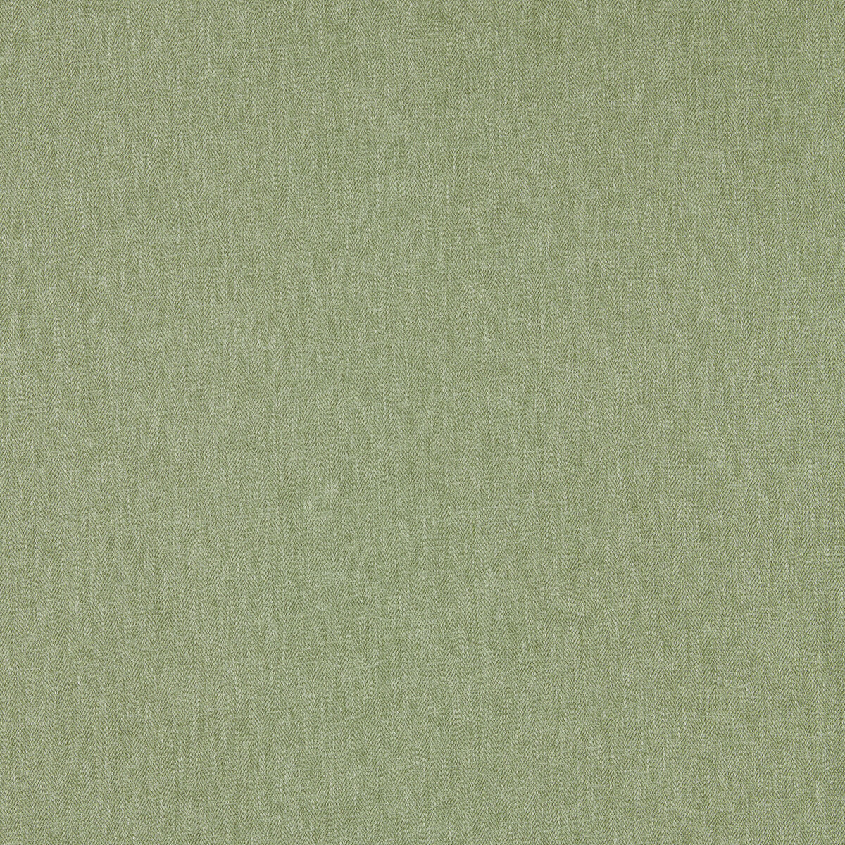 Orla fabric in sage color - pattern F1572/20.CAC.0 - by Clarke And Clarke in the Orla By Studio G For C&C collection