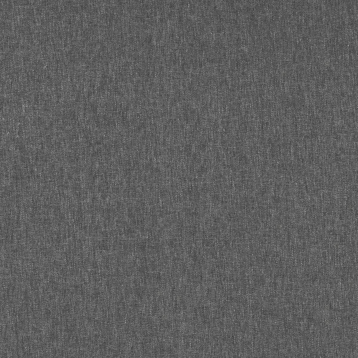 Orla fabric in zinc color - pattern F1572/24.CAC.0 - by Clarke And Clarke in the Orla By Studio G For C&C collection