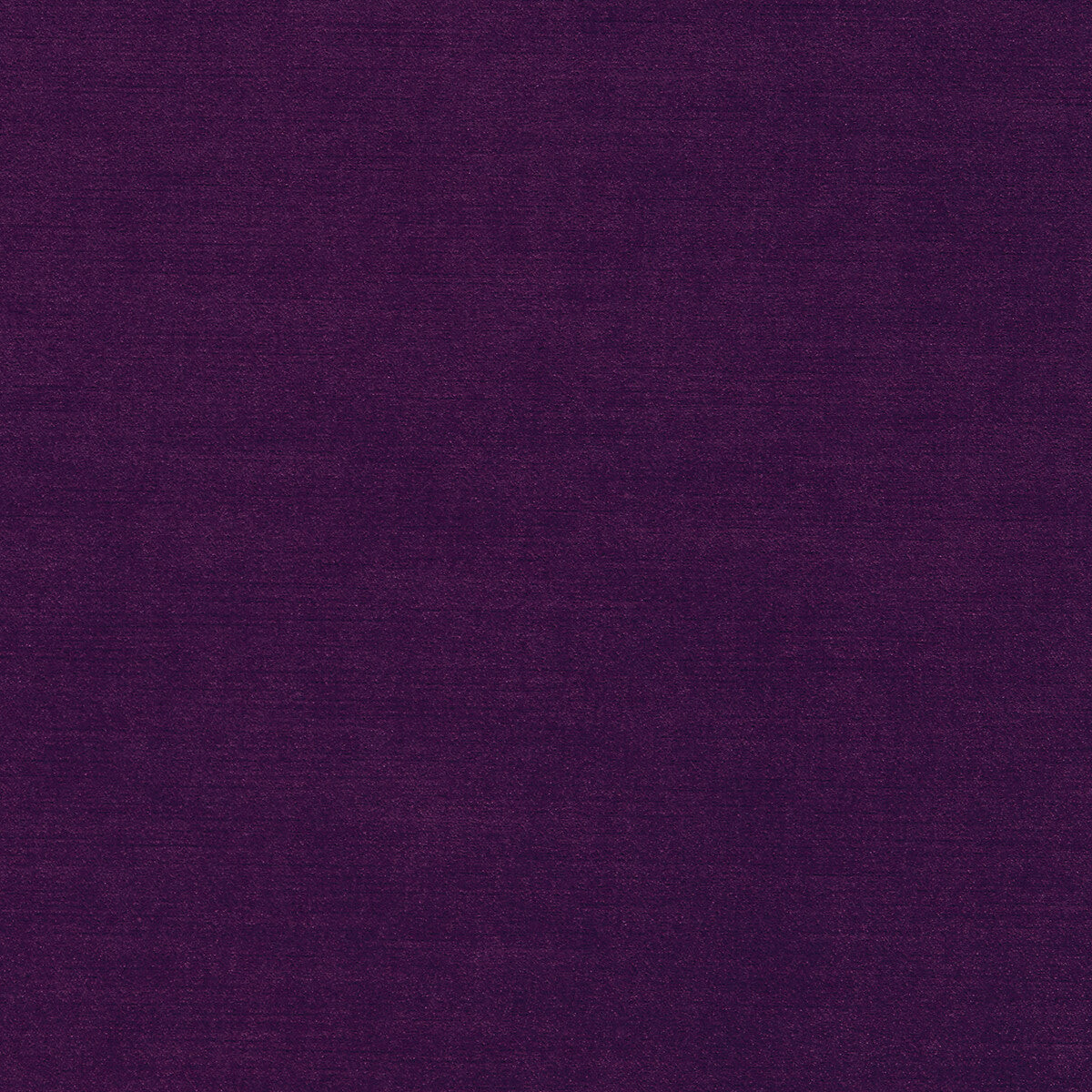 Riva fabric in damson color - pattern F1583/09.CAC.0 - by Clarke And Clarke in the Clarke & Clarke Riva collection