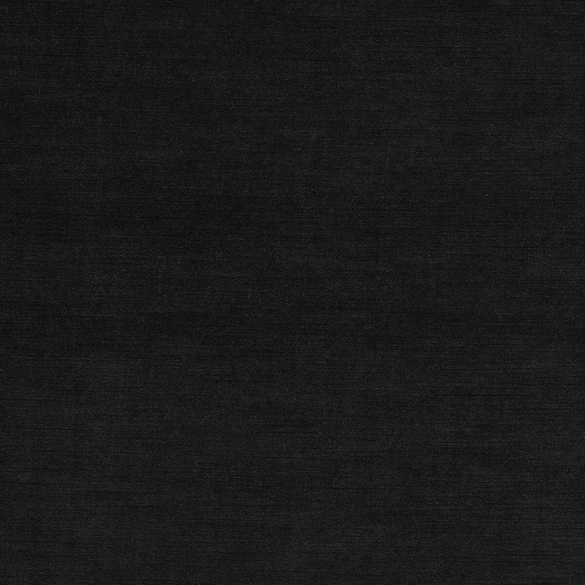 Riva fabric in ebony color - pattern F1583/10.CAC.0 - by Clarke And Clarke in the Clarke & Clarke Riva collection