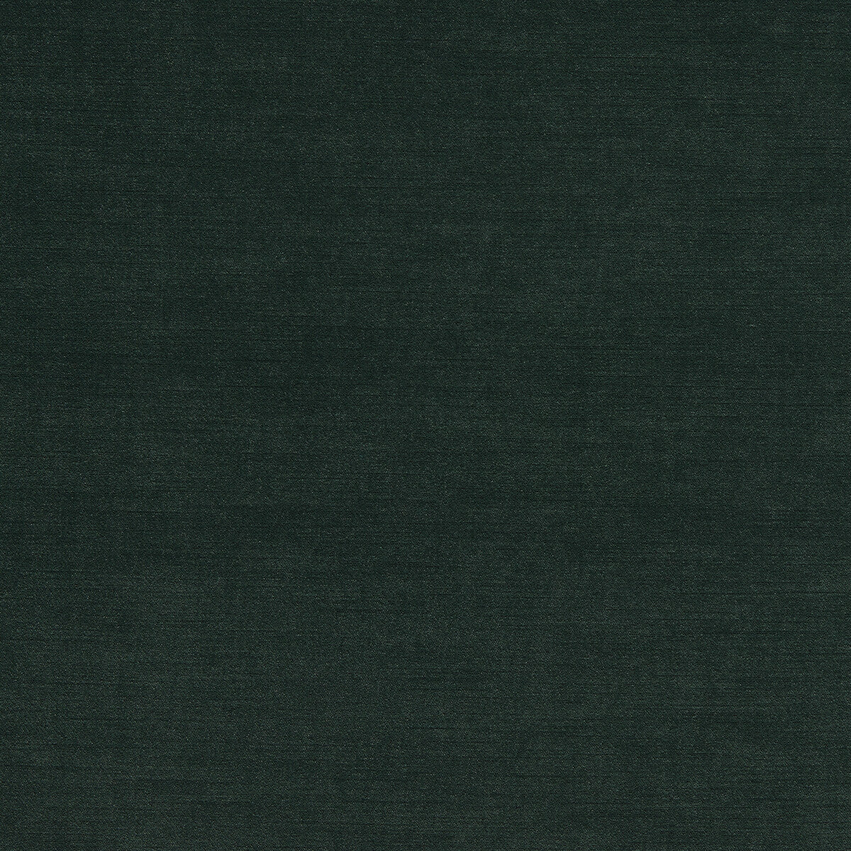 Riva fabric in forest color - pattern F1583/11.CAC.0 - by Clarke And Clarke in the Clarke & Clarke Riva collection
