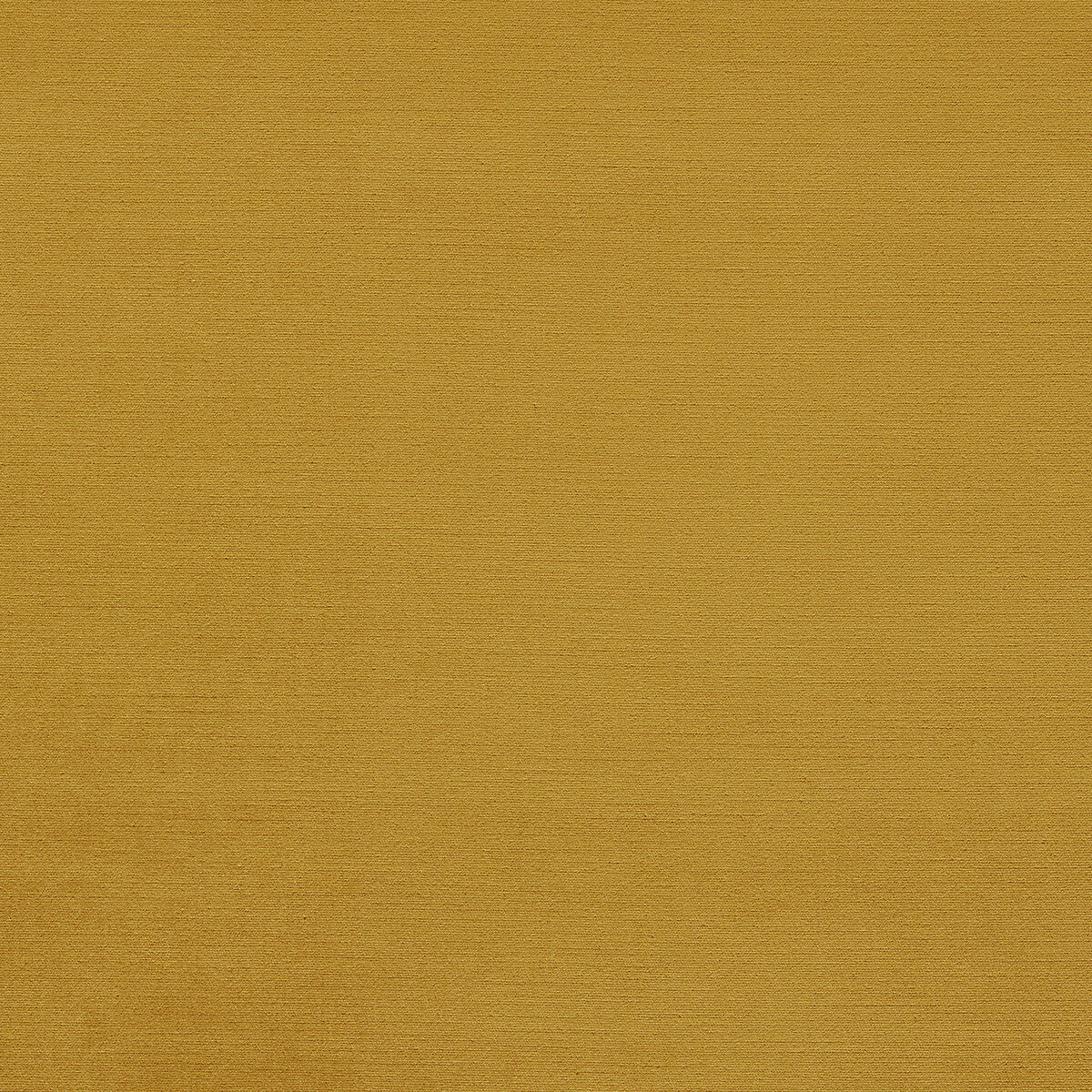 Riva fabric in honey color - pattern F1583/13.CAC.0 - by Clarke And Clarke in the Clarke & Clarke Riva collection