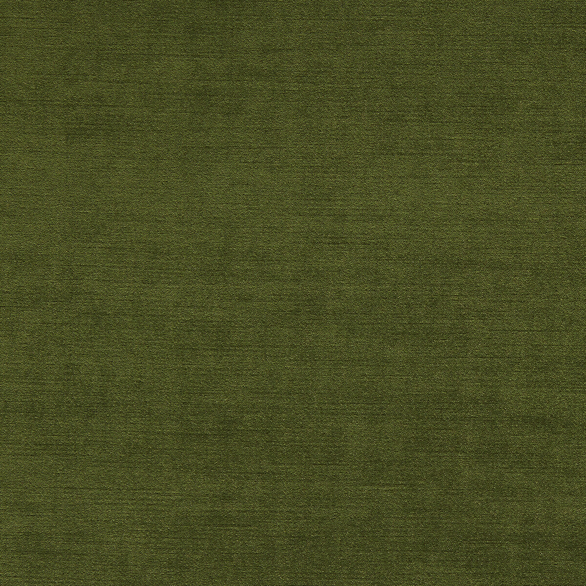 Riva fabric in moss color - pattern F1583/16.CAC.0 - by Clarke And Clarke in the Clarke & Clarke Riva collection