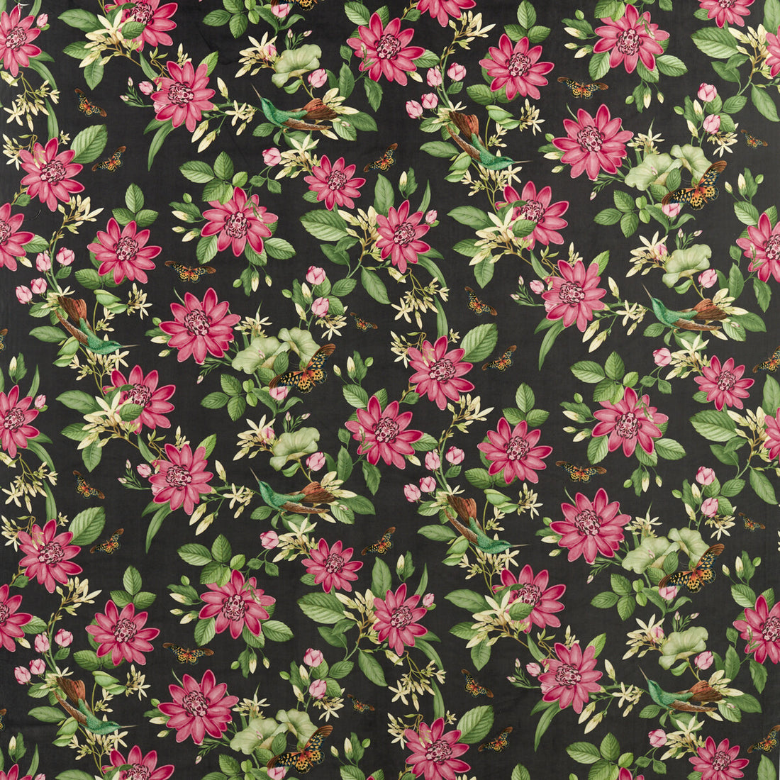 Pink Lotus fabric in noir velvet color - pattern F1588/02.CAC.0 - by Clarke And Clarke in the Clarke &amp; Clarke Botanical Wonders Fabric collection