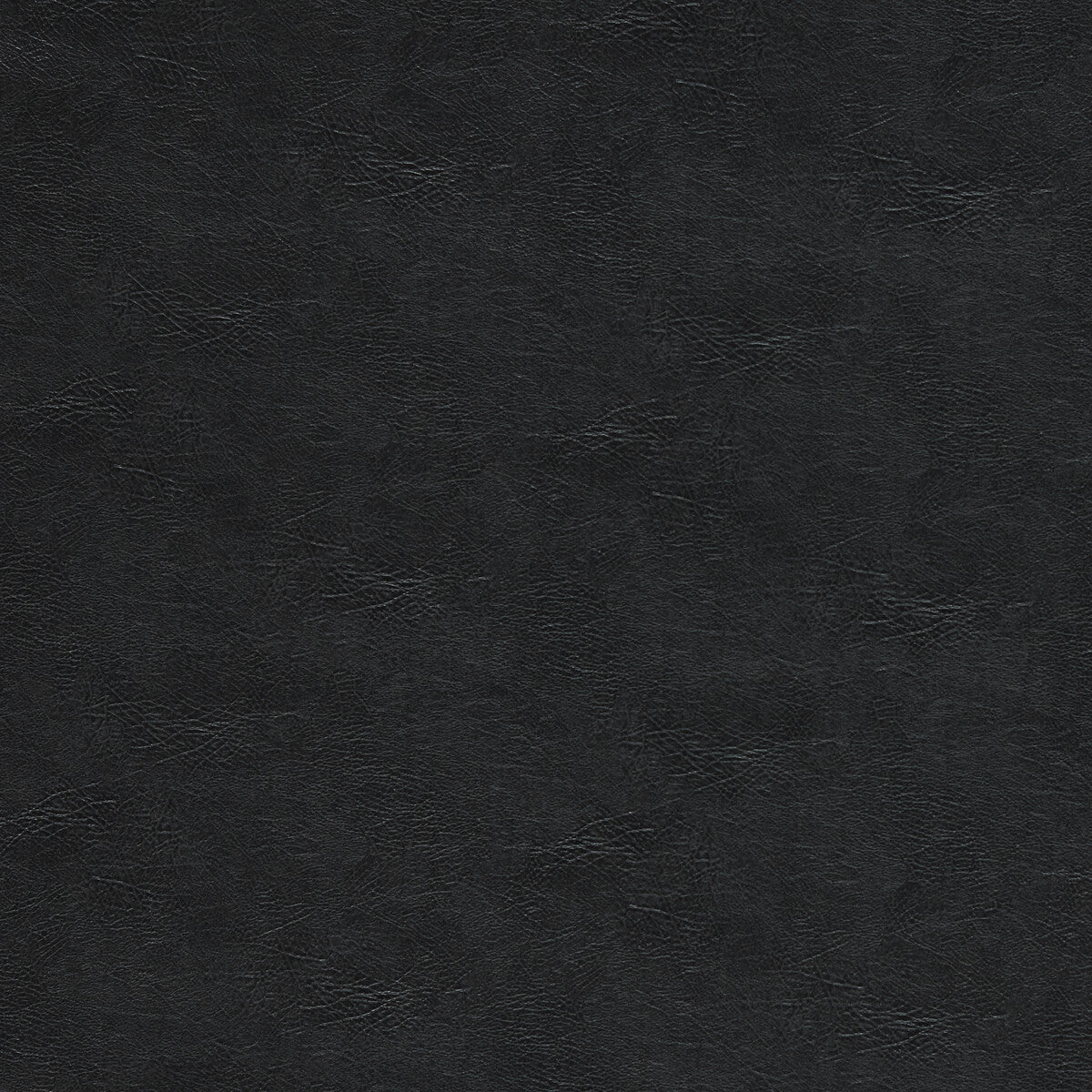 Dawson fabric in charcoal color - pattern F1598/01.CAC.0 - by Clarke And Clarke in the Clarke & Clarke Dawson collection