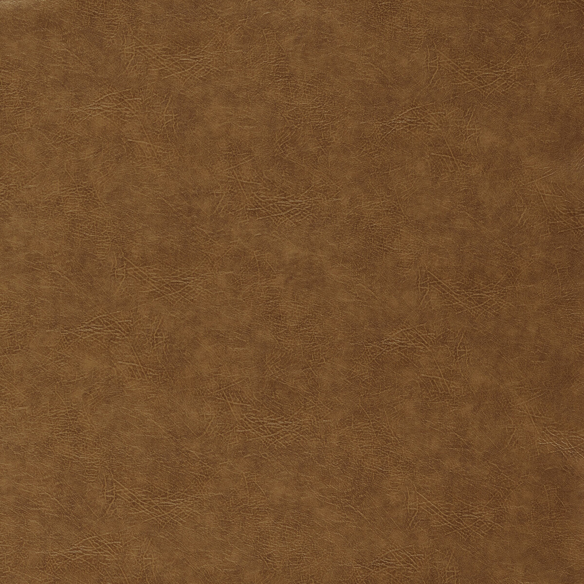 Dawson fabric in cinnamon color - pattern F1598/03.CAC.0 - by Clarke And Clarke in the Clarke & Clarke Dawson collection