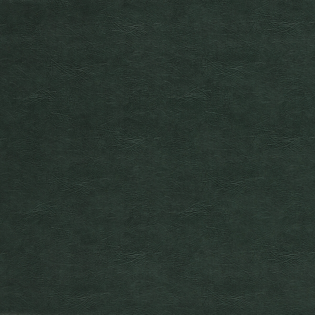 Dawson fabric in emerald color - pattern F1598/05.CAC.0 - by Clarke And Clarke in the Clarke & Clarke Dawson collection