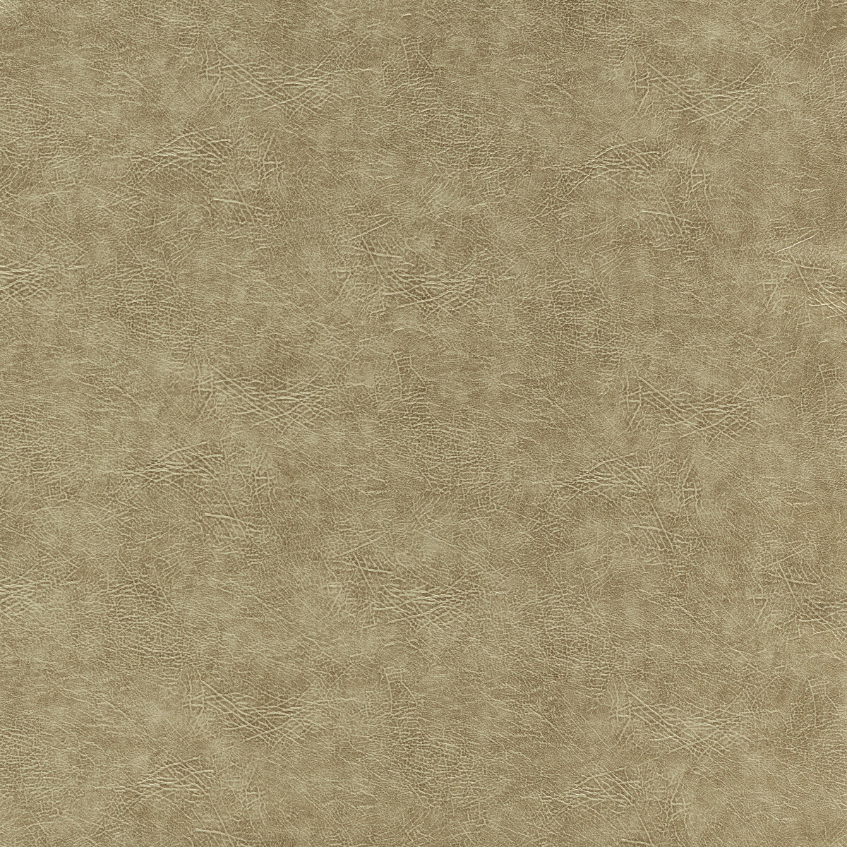 Dawson fabric in gold color - pattern F1598/06.CAC.0 - by Clarke And Clarke in the Clarke & Clarke Dawson collection