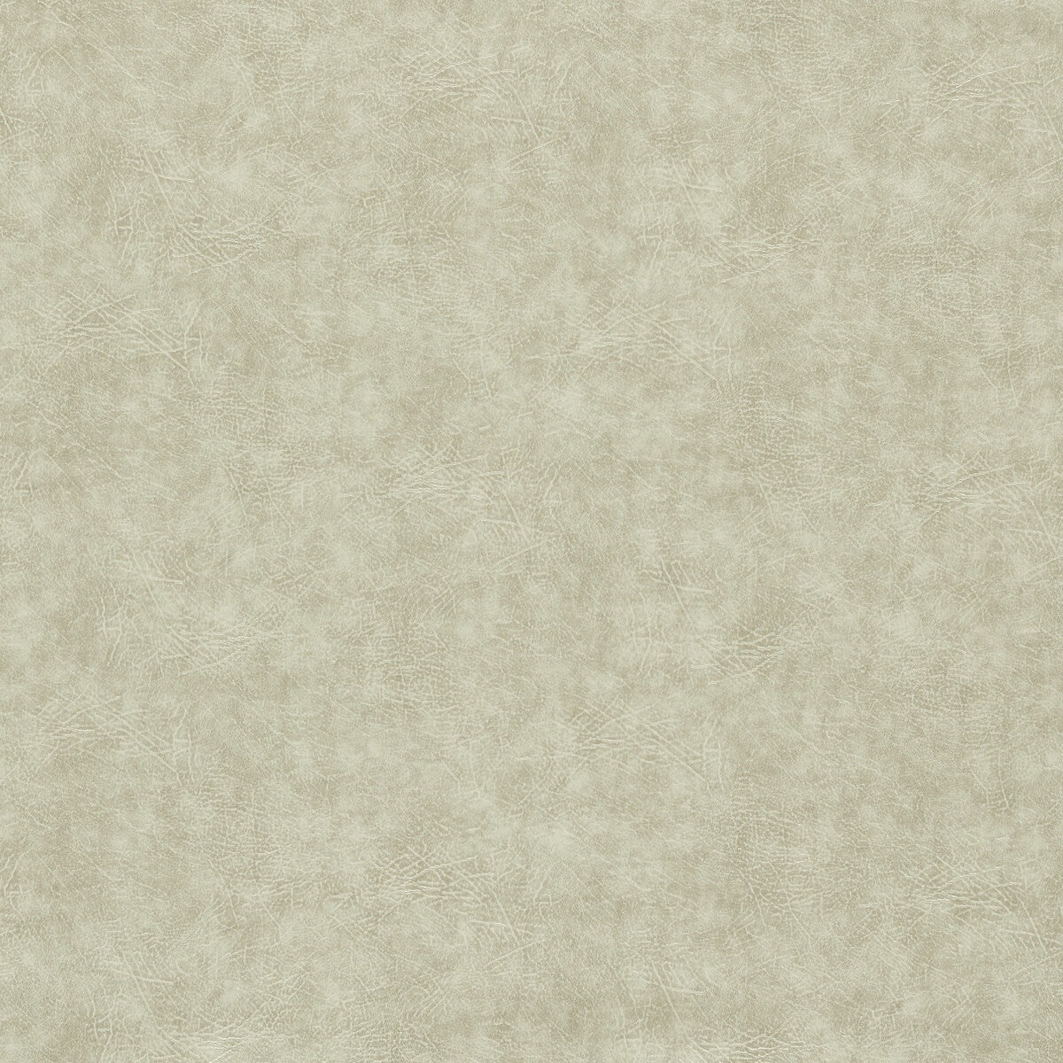 Dawson fabric in natural color - pattern F1598/10.CAC.0 - by Clarke And Clarke in the Clarke & Clarke Dawson collection