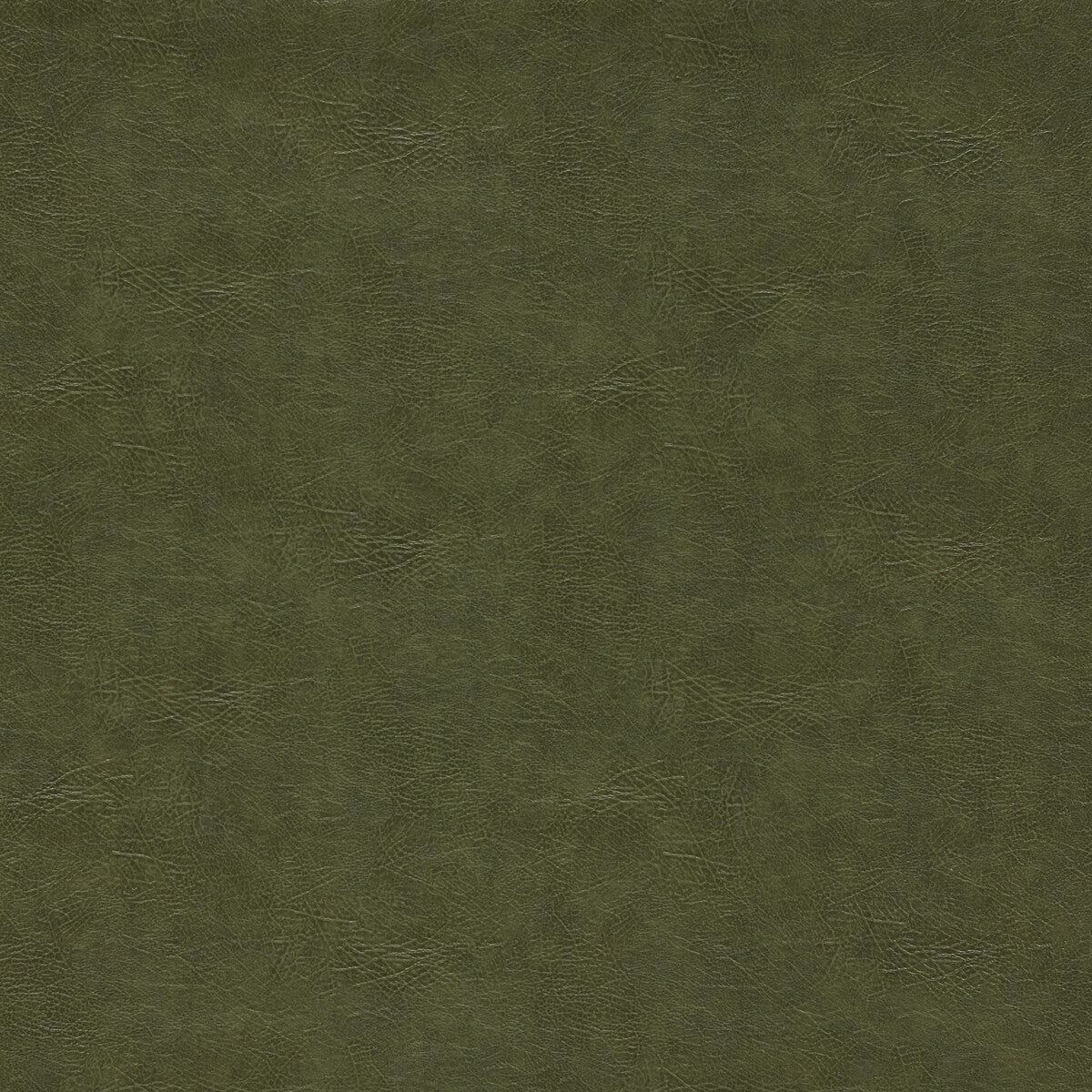 Dawson fabric in olive color - pattern F1598/12.CAC.0 - by Clarke And Clarke in the Clarke & Clarke Dawson collection
