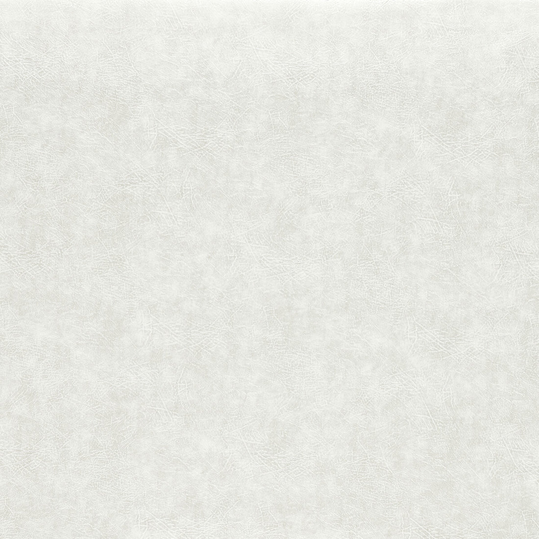 Dawson fabric in pearl color - pattern F1598/13.CAC.0 - by Clarke And Clarke in the Clarke &amp; Clarke Dawson collection
