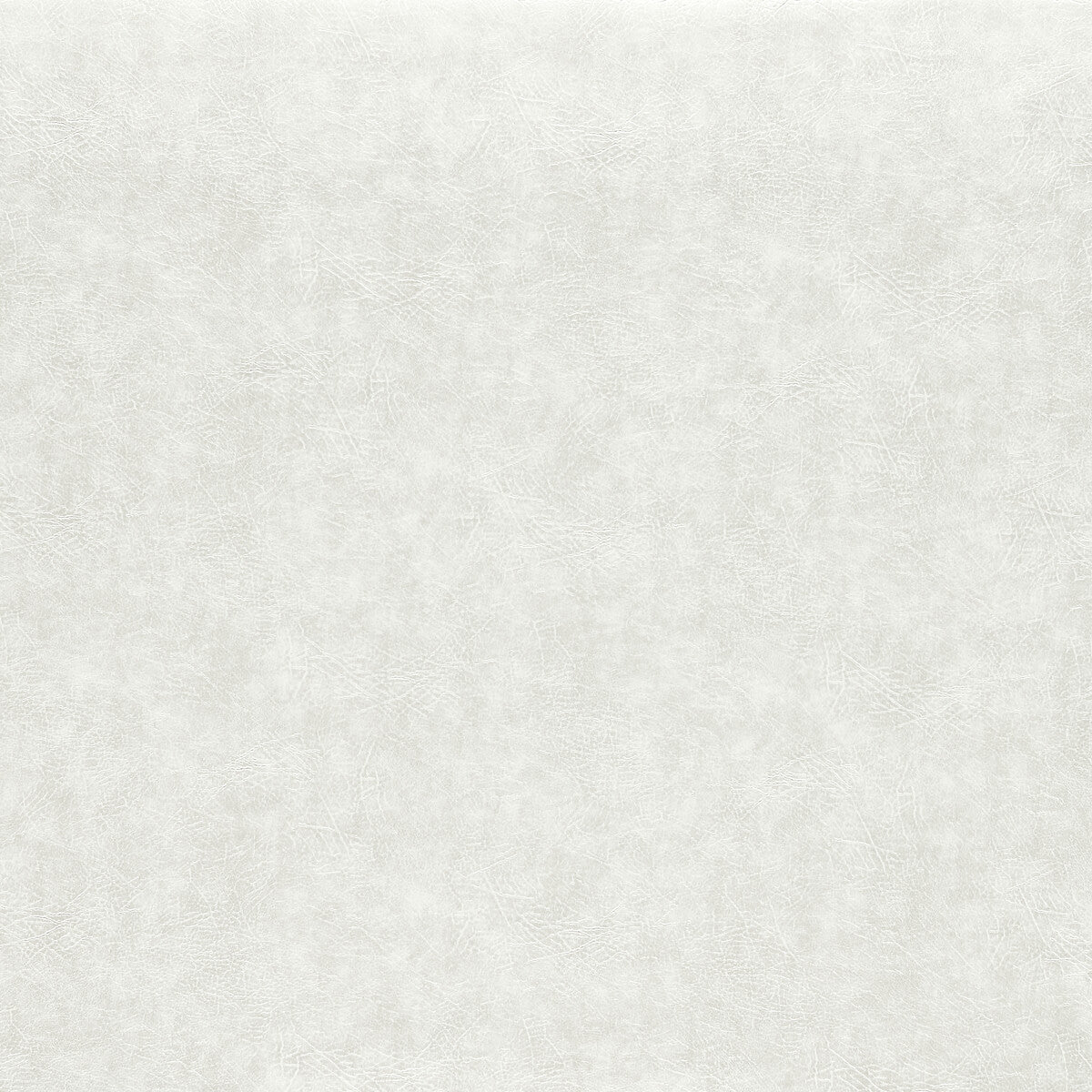 Dawson fabric in pearl color - pattern F1598/13.CAC.0 - by Clarke And Clarke in the Clarke & Clarke Dawson collection