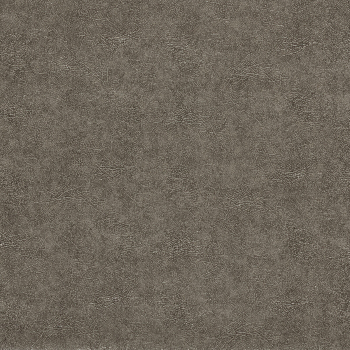 Dawson fabric in pewter color - pattern F1598/14.CAC.0 - by Clarke And Clarke in the Clarke & Clarke Dawson collection