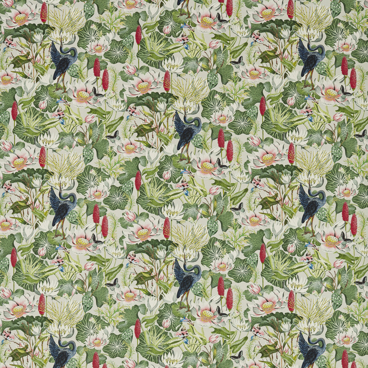 Waterlily fabric in dove color - pattern F1605/01.CAC.0 - by Clarke And Clarke in the Clarke & Clarke Botanical Wonders Fabric collection