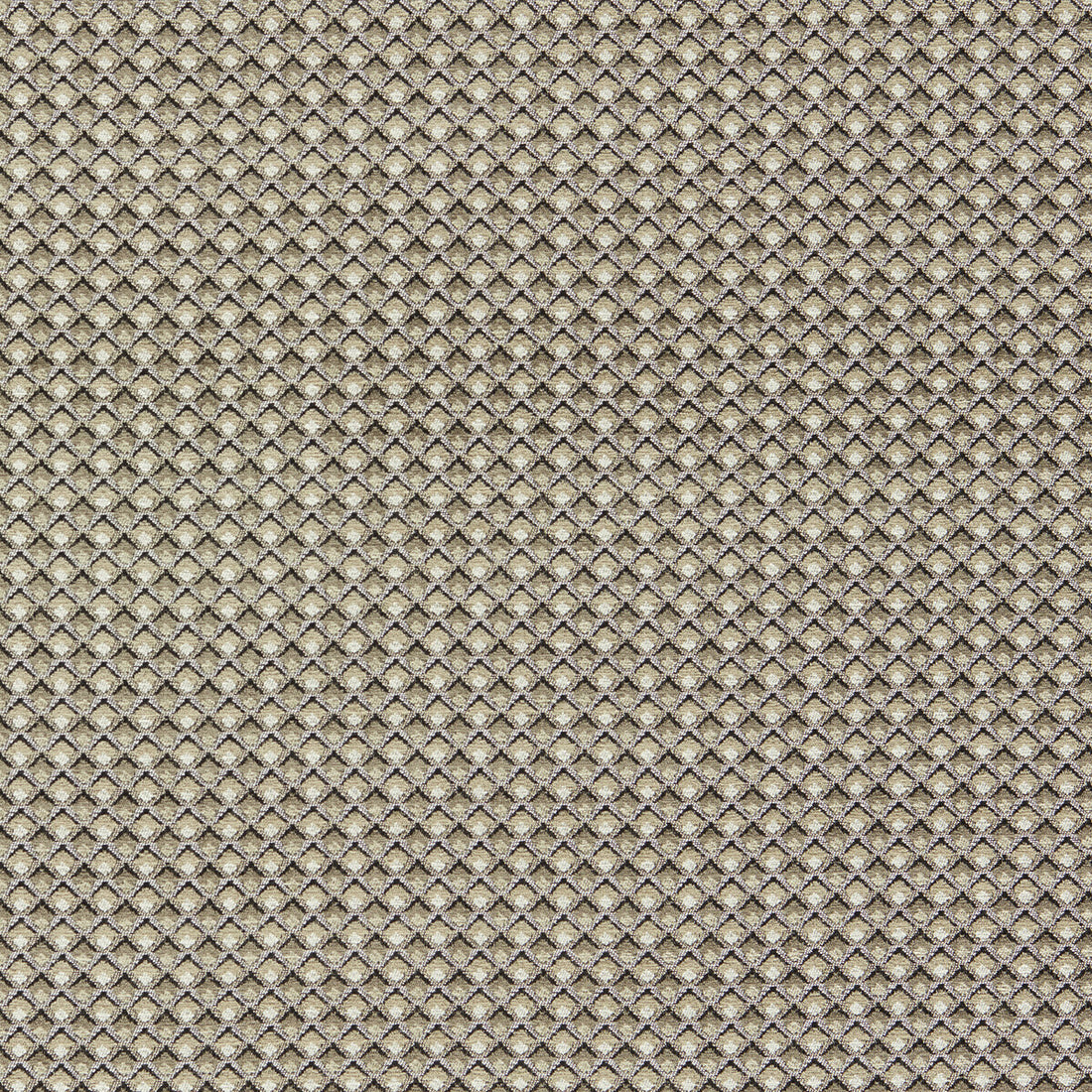 Lyra fabric in natural color - pattern F1617/02.CAC.0 - by Clarke And Clarke in the Clarke And Clarke Equinox 2 collection