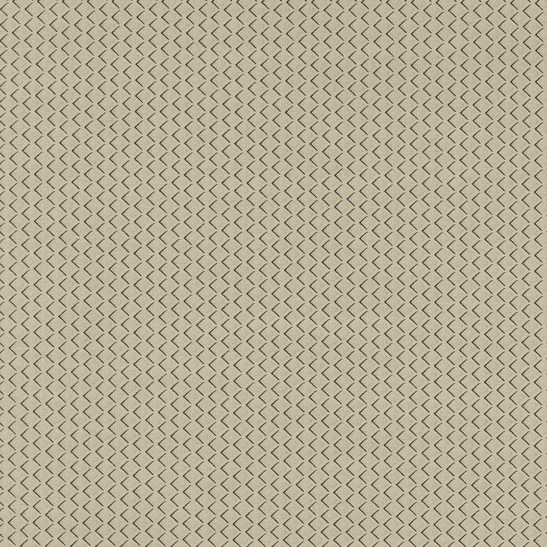 Equator fabric in natural color - pattern F1618/03.CAC.0 - by Clarke And Clarke in the Clarke And Clarke Equinox 2 collection