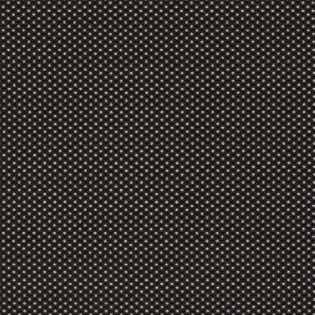 Pavo fabric in noir color - pattern F1620/06.CAC.0 - by Clarke And Clarke in the Clarke And Clarke Equinox 2 collection