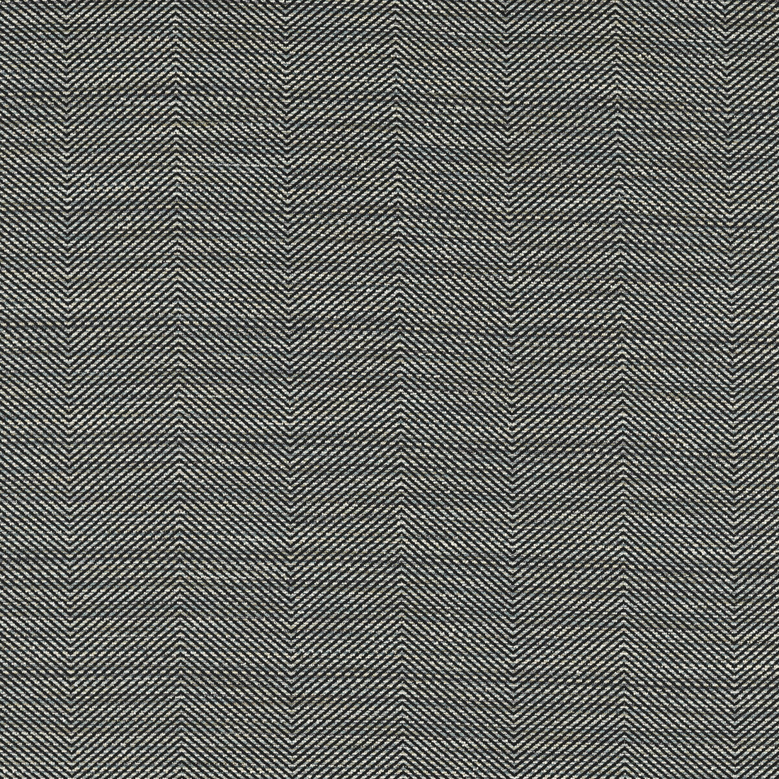 Loki fabric in charcoal color - pattern F1633/01.CAC.0 - by Clarke And Clarke in the Clarke &amp; Clarke Soren collection
