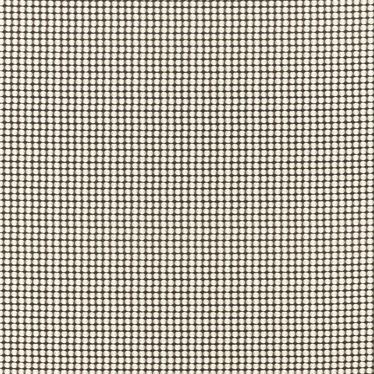 Olympia fabric in charcoal color - pattern F1638/02.CAC.0 - by Clarke And Clarke in the Formations By Studio G For C&C collection