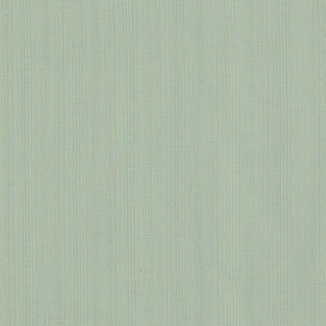 Remo fabric in duckegg color - pattern F1665/03.CAC.0 - by Clarke And Clarke in the Clarke &amp; Clarke Levanto collection