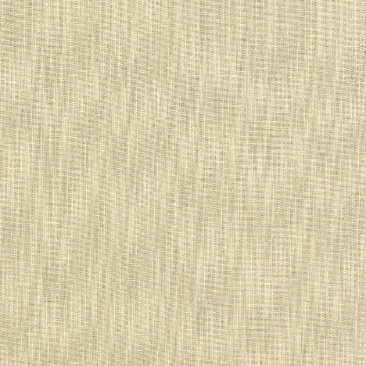 Remo fabric in raffia color - pattern F1665/10.CAC.0 - by Clarke And Clarke in the Clarke & Clarke Levanto collection