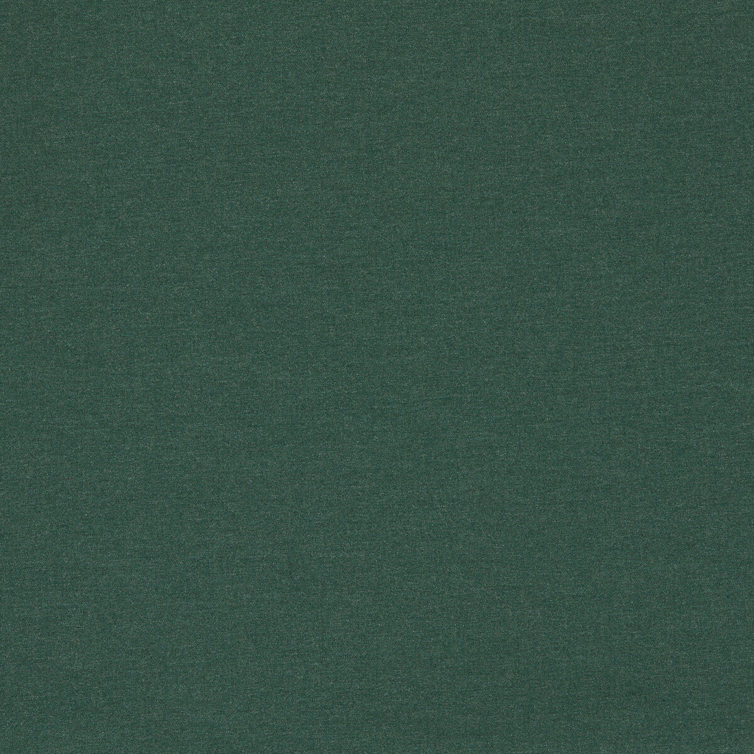 Lugo fabric in forest color - pattern F1669/02.CAC.0 - by Clarke And Clarke in the Clarke &amp; Clarke Alfresco collection