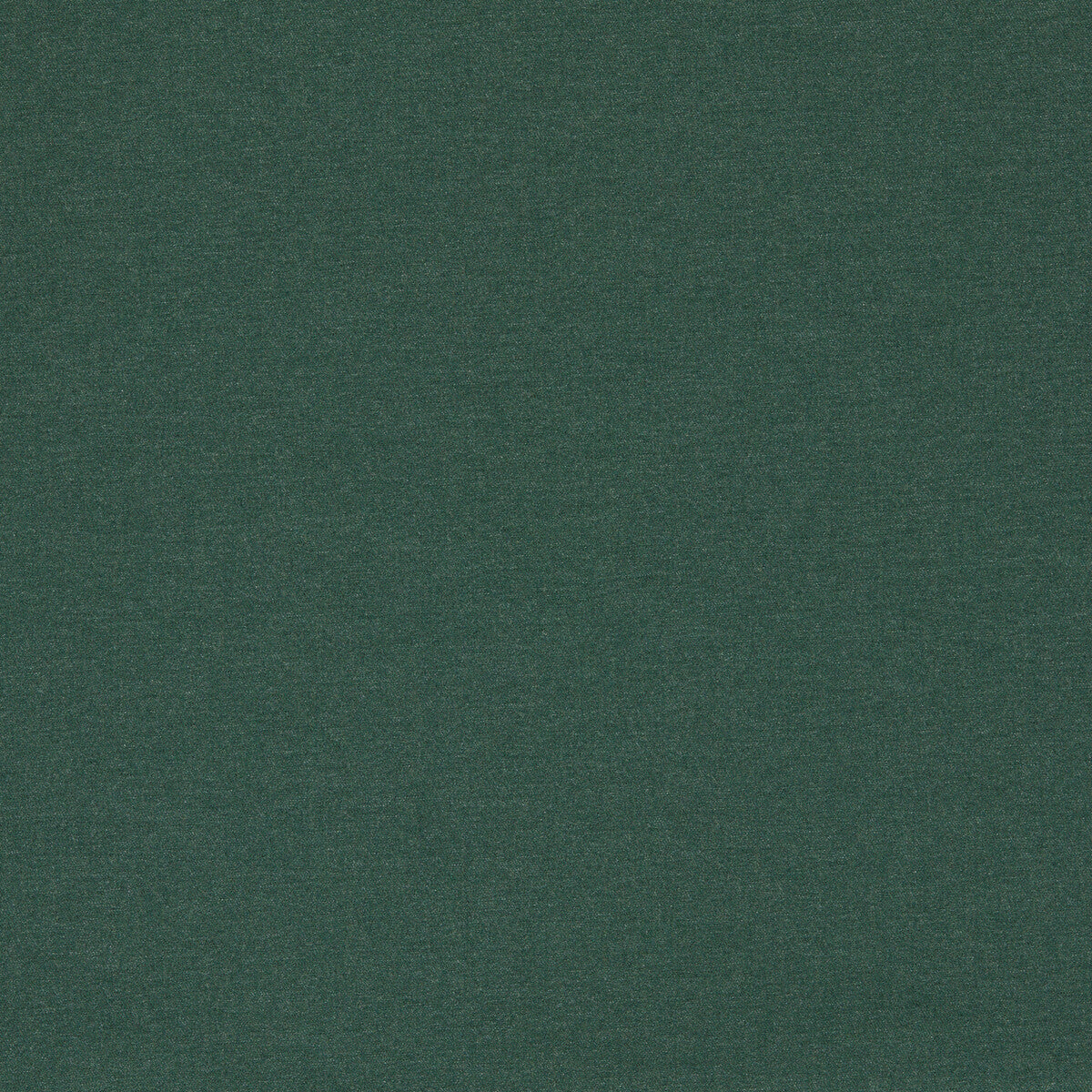 Lugo fabric in forest color - pattern F1669/02.CAC.0 - by Clarke And Clarke in the Clarke & Clarke Alfresco collection