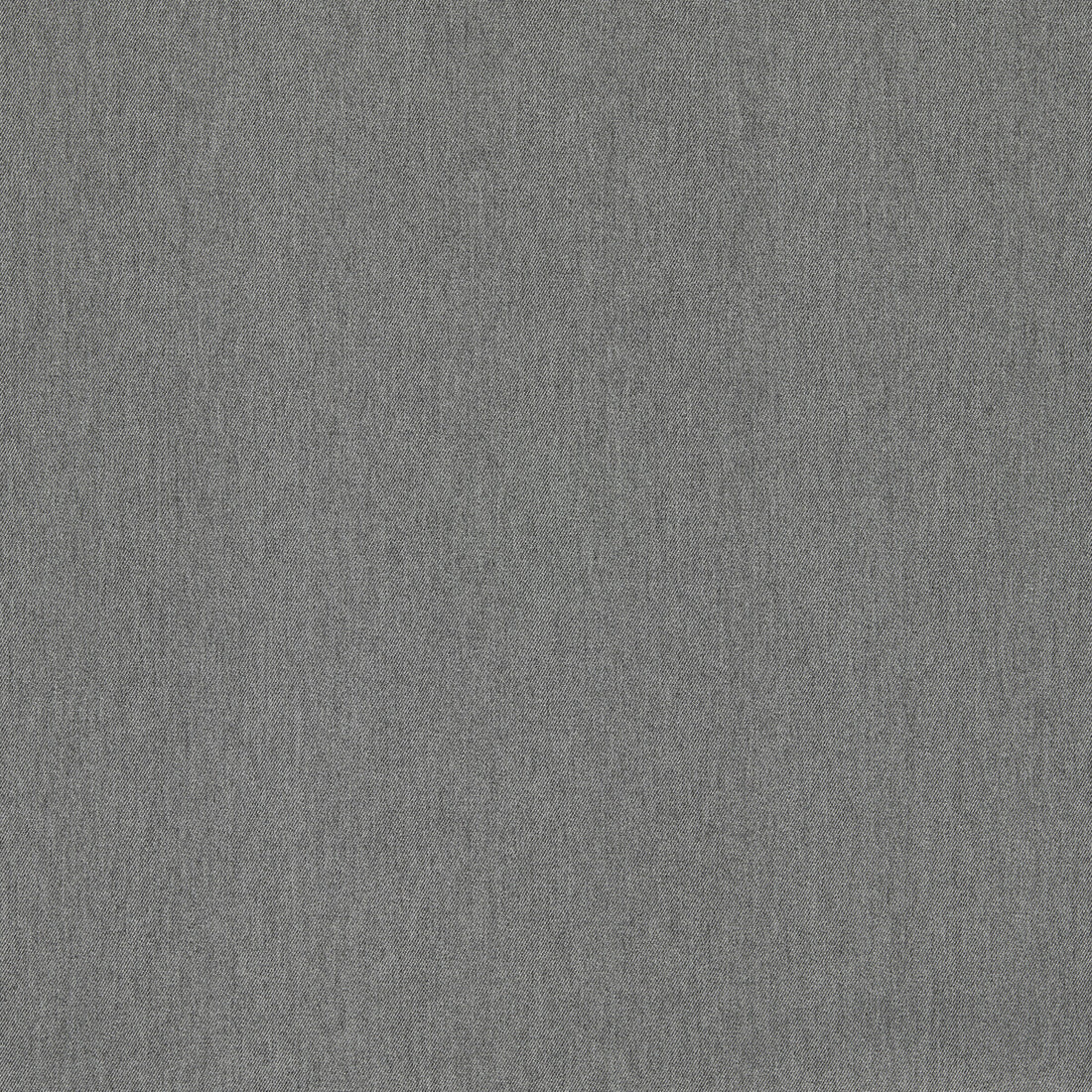 Lugo fabric in gunmetal color - pattern F1669/03.CAC.0 - by Clarke And Clarke in the Clarke &amp; Clarke Alfresco collection