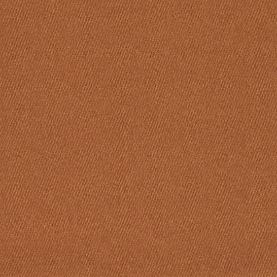 Lugo fabric in spice color - pattern F1669/06.CAC.0 - by Clarke And Clarke in the Clarke &amp; Clarke Alfresco collection