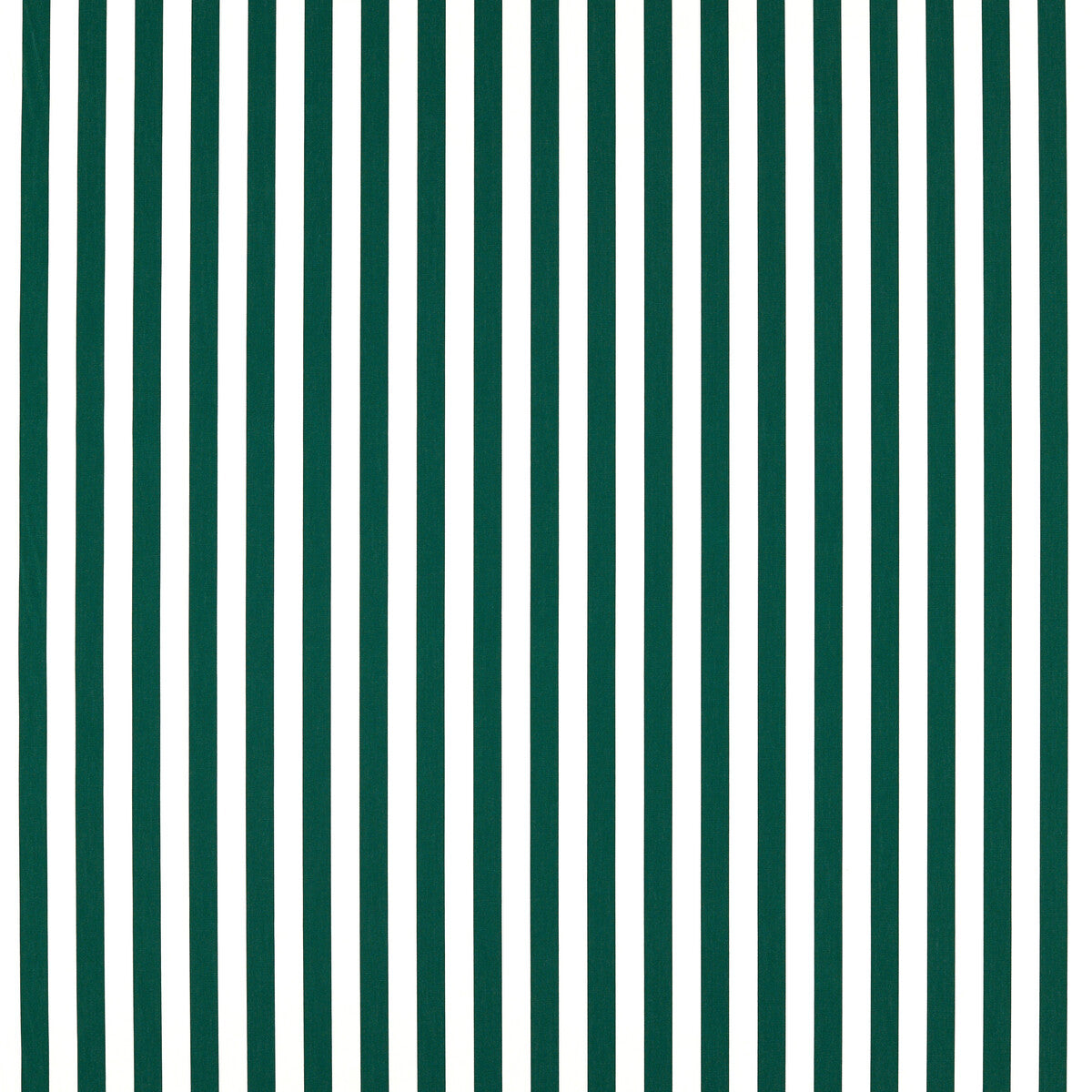 Sicily fabric in forest color - pattern F1673/03.CAC.0 - by Clarke And Clarke in the Clarke & Clarke Alfresco collection