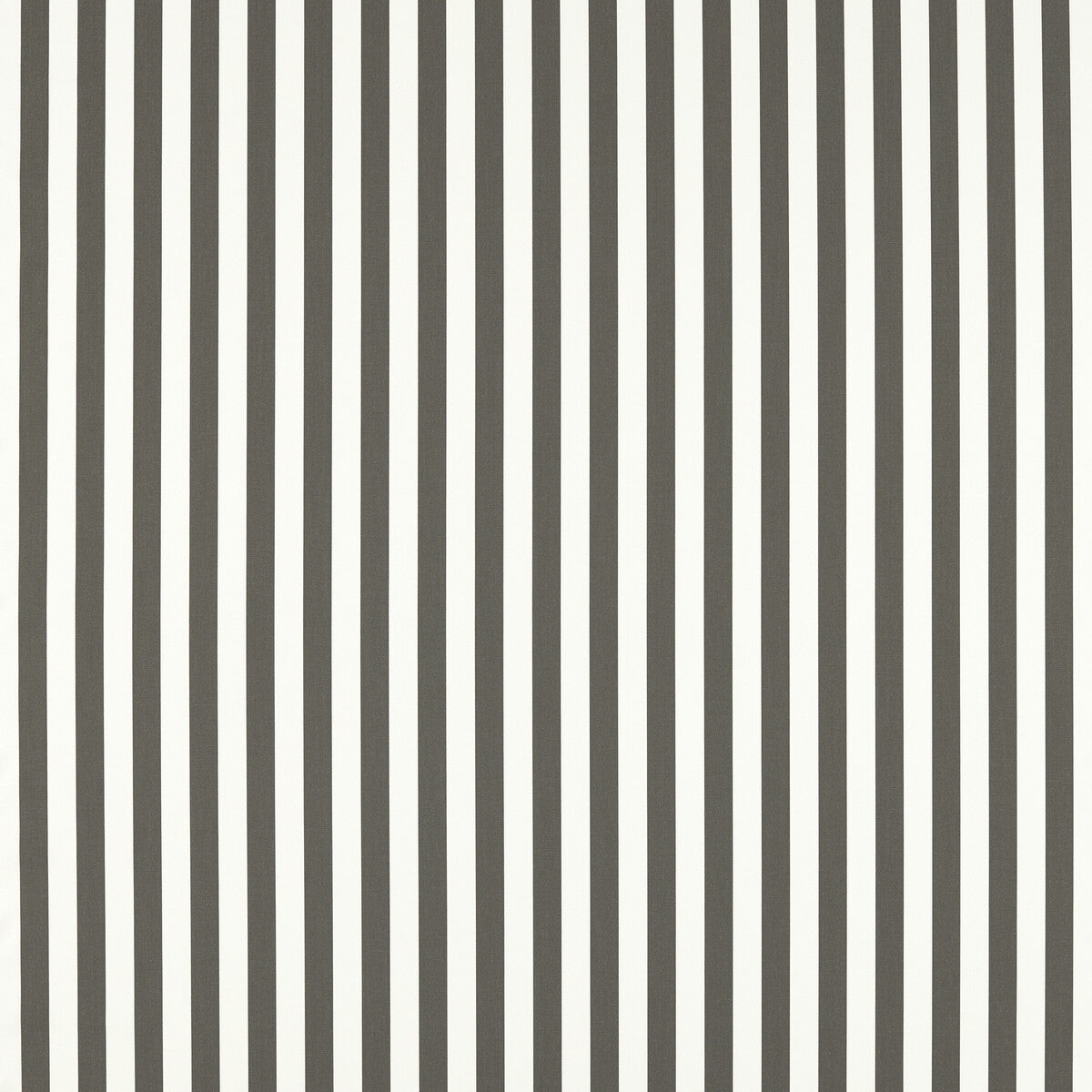 Sicily fabric in grey color - pattern F1673/04.CAC.0 - by Clarke And Clarke in the Clarke & Clarke Alfresco collection