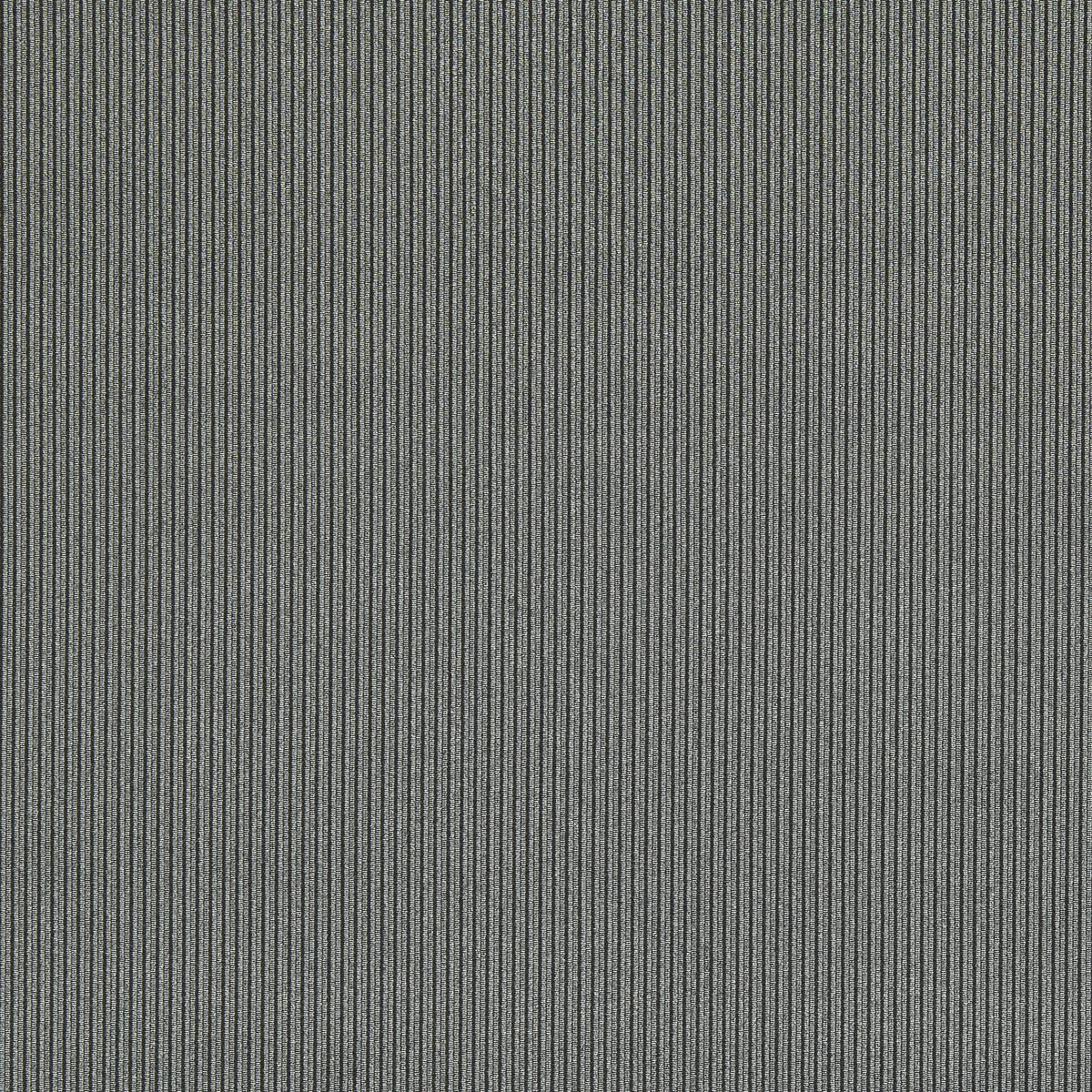 Ashdown fabric in ebony color - pattern F1688/03.CAC.0 - by Clarke And Clarke in the Whitworth collection