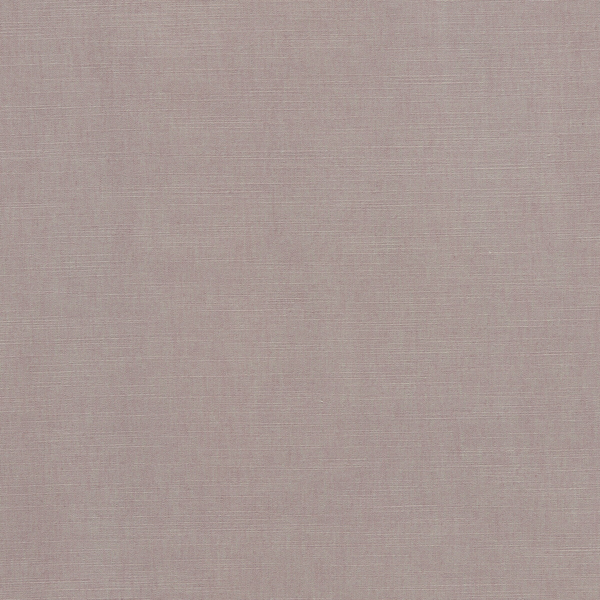 Paradiso fabric in blush color - pattern F1707/03.CAC.0 - by Clarke And Clarke in the Breegan Jane Fabrics collection