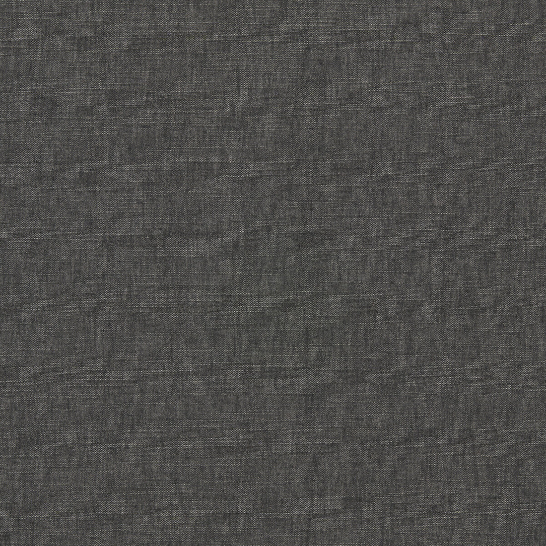 Paradiso fabric in charcoal color - pattern F1707/06.CAC.0 - by Clarke And Clarke in the Breegan Jane Fabrics collection