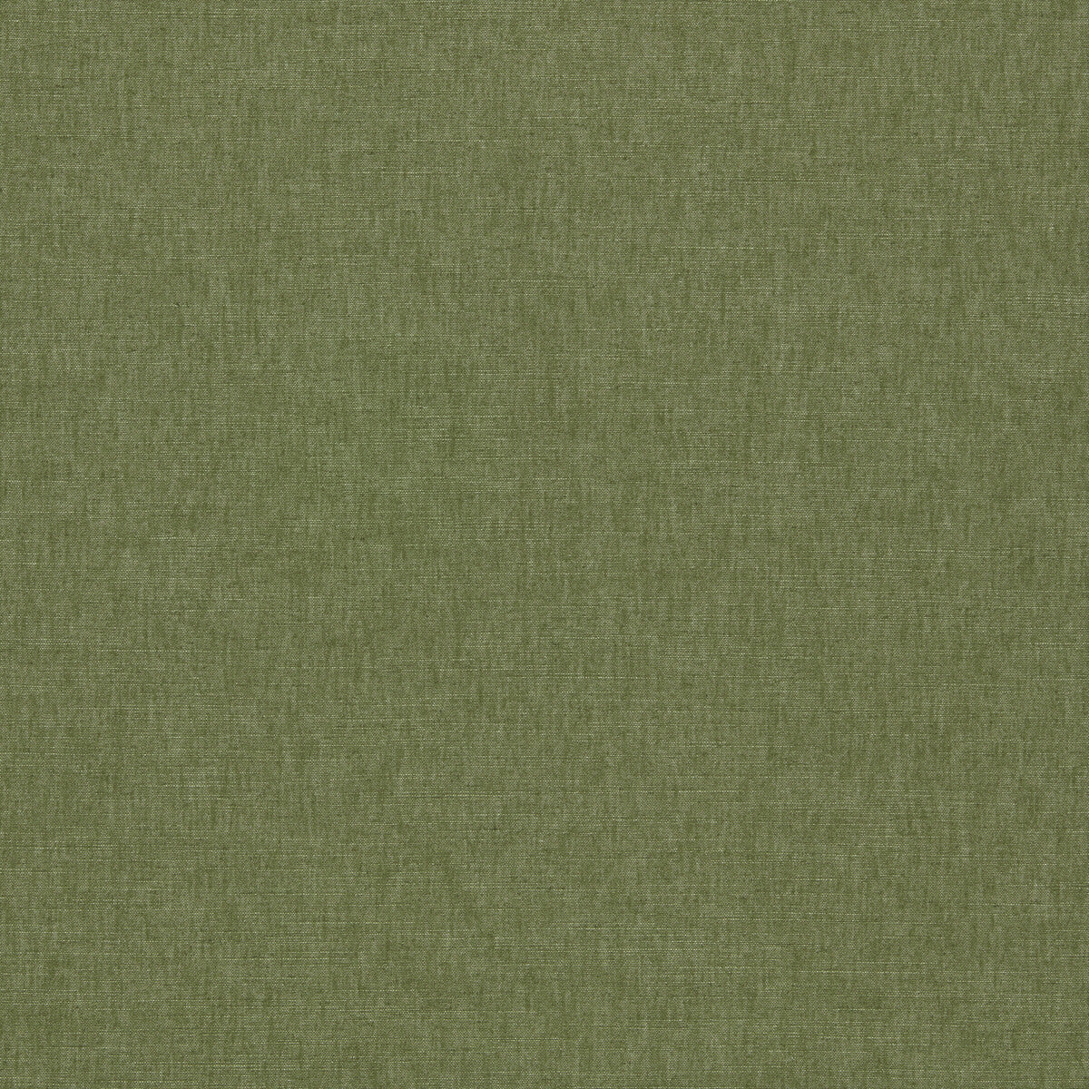 Paradiso fabric in olive color - pattern number F1707/19.CAC.0 - by Clarke And Clarke in the Paradiso collection