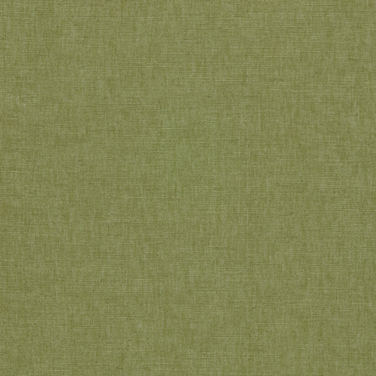 Paradiso fabric in palm color - pattern F1707/20.CAC.0 - by Clarke And Clarke in the Breegan Jane Fabrics collection