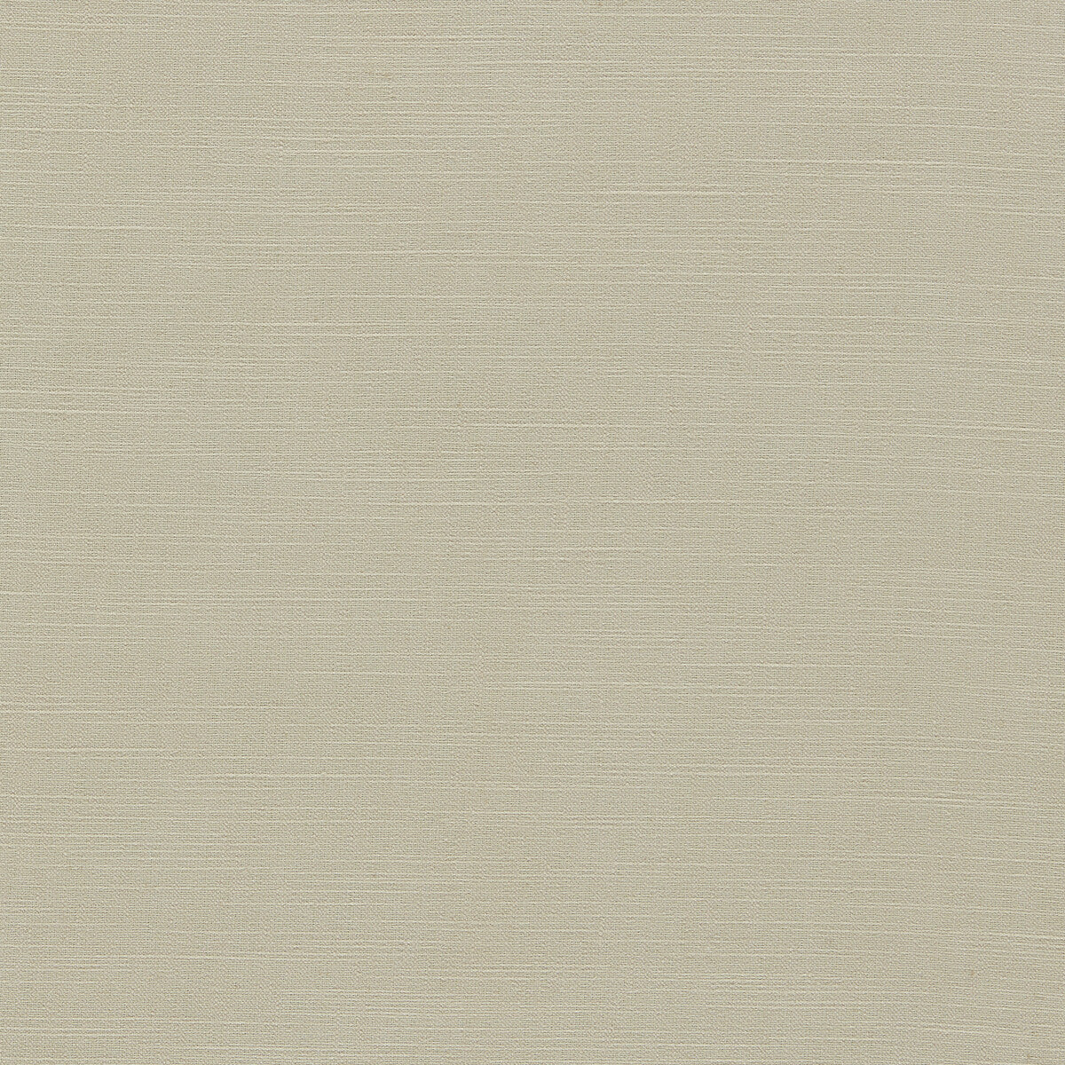 Paradiso fabric in pebble color - pattern F1707/21.CAC.0 - by Clarke And Clarke in the Breegan Jane Fabrics collection