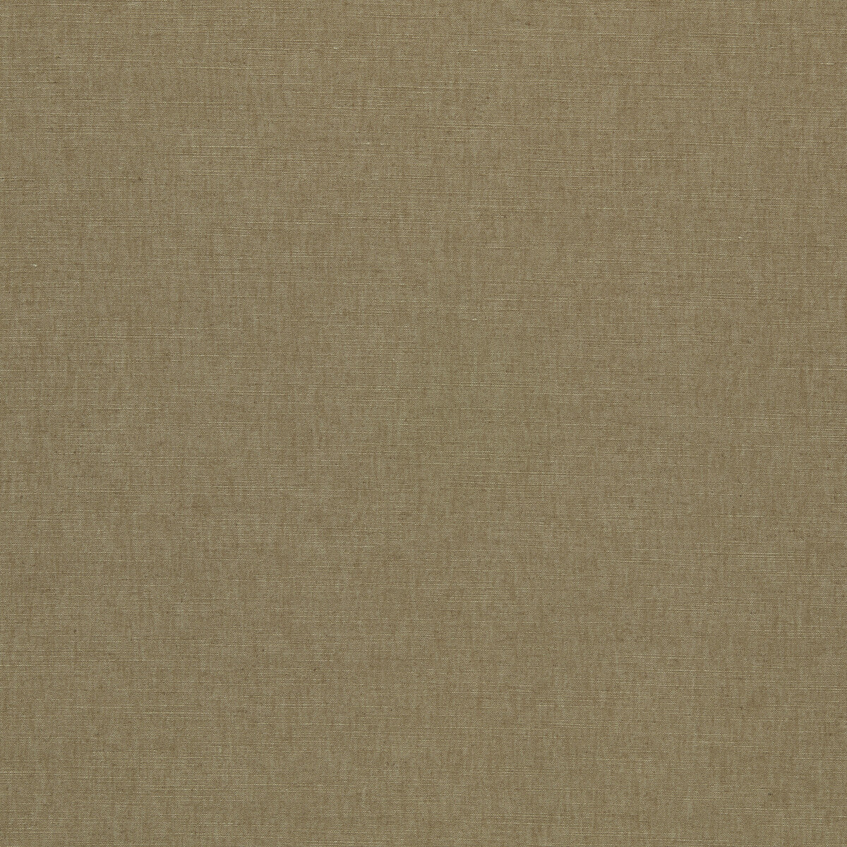 Paradiso fabric in sesame color - pattern number F1707/24.CAC.0 - by Clarke And Clarke in the Paradiso collection
