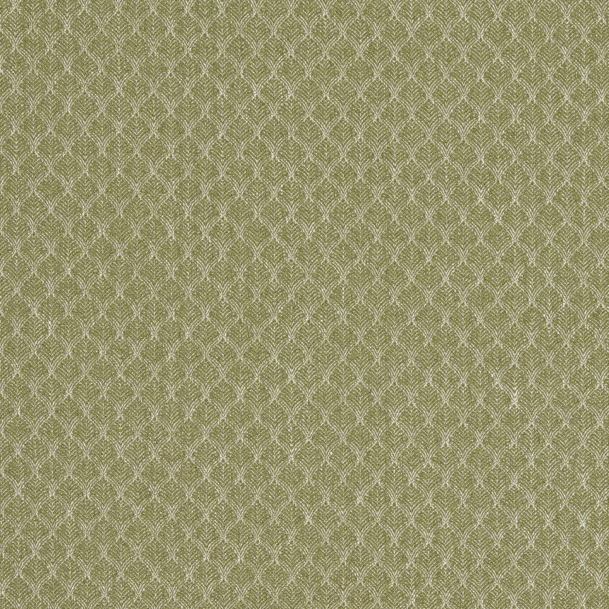 Trelica fabric in olive color - pattern number F1724/04.CAC.0 - by Clarke And Clarke in the Clarke & Clarke Evora collection