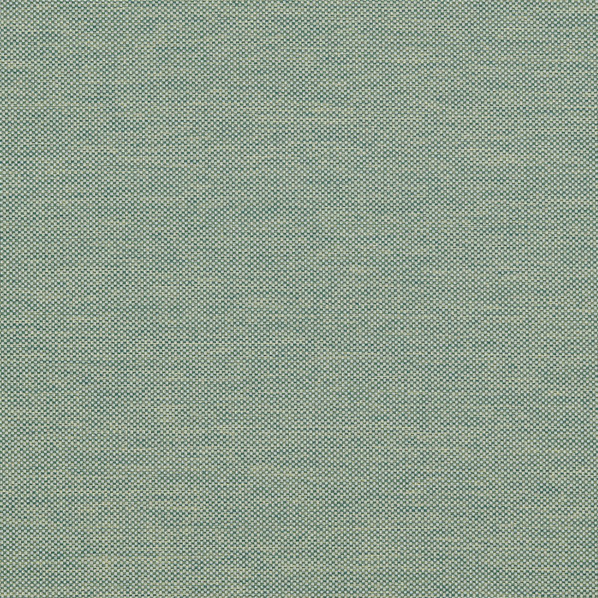 Cameron fabric in Forest color - pattern number F1794/03.CAC.0 - by Clarke And Clarke in the Alfresco Indoor Outdoor Weaves collection