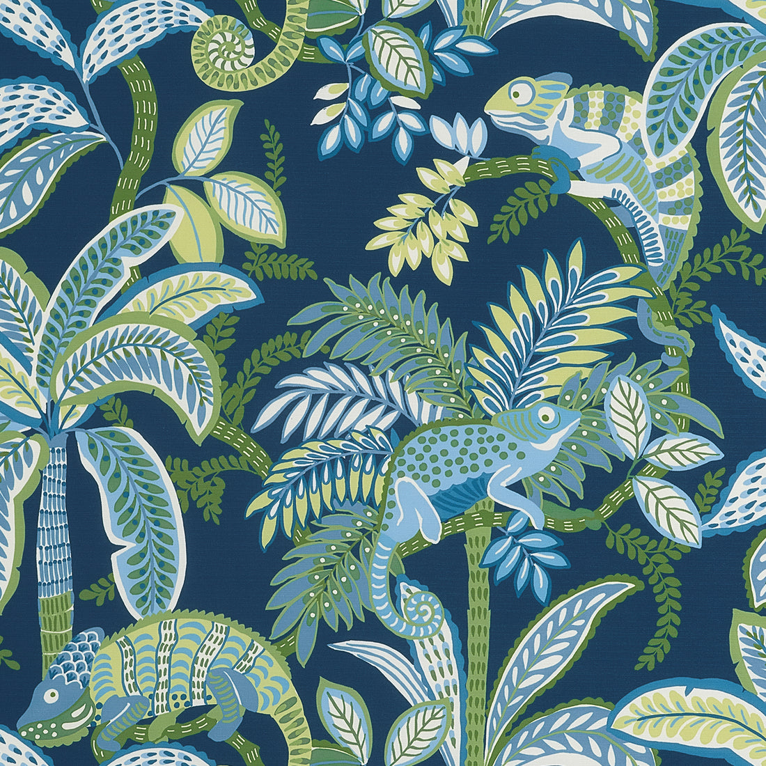 Iggy fabric in coastal color - pattern number F81677 - by Thibaut in the Locale collection