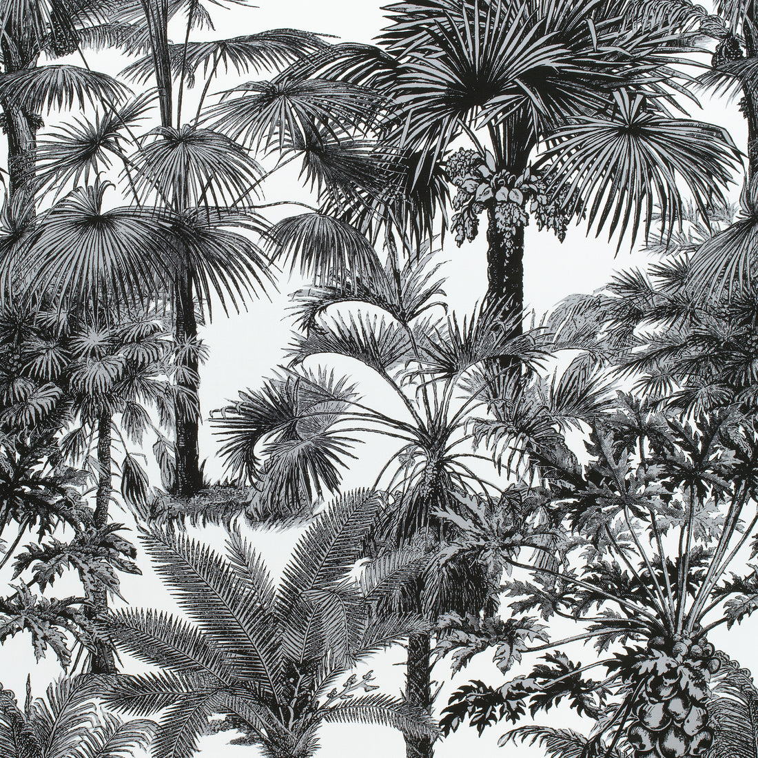 Palm Botanical fabric in black color - pattern number F910102 - by Thibaut in the Tropics collection