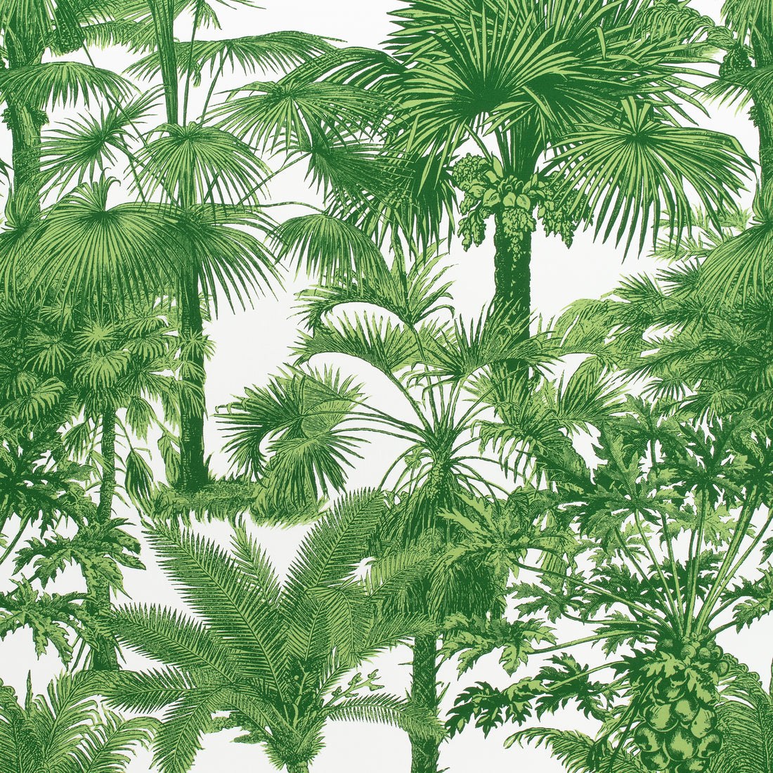 Palm Botanical fabric in emerald green color - pattern number F910103 - by Thibaut in the Tropics collection