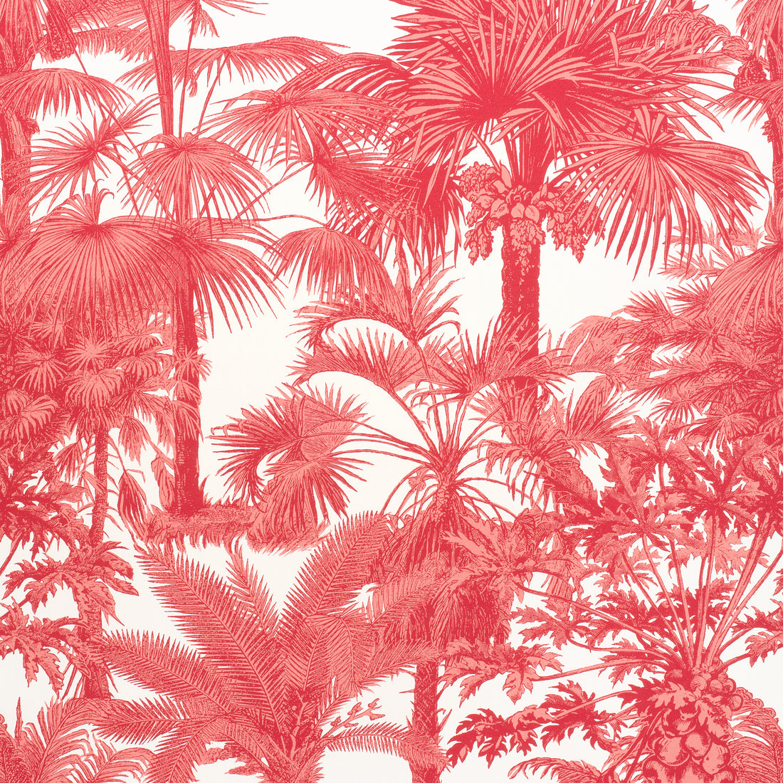 Palm Botanical fabric in coral color - pattern number F910105 - by Thibaut in the Tropics collection