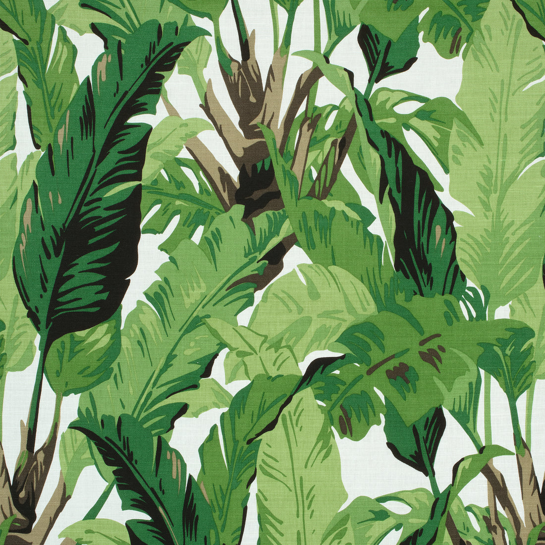 Travelers Palm fabric in green color - pattern number F910127 - by Thibaut in the Tropics collection