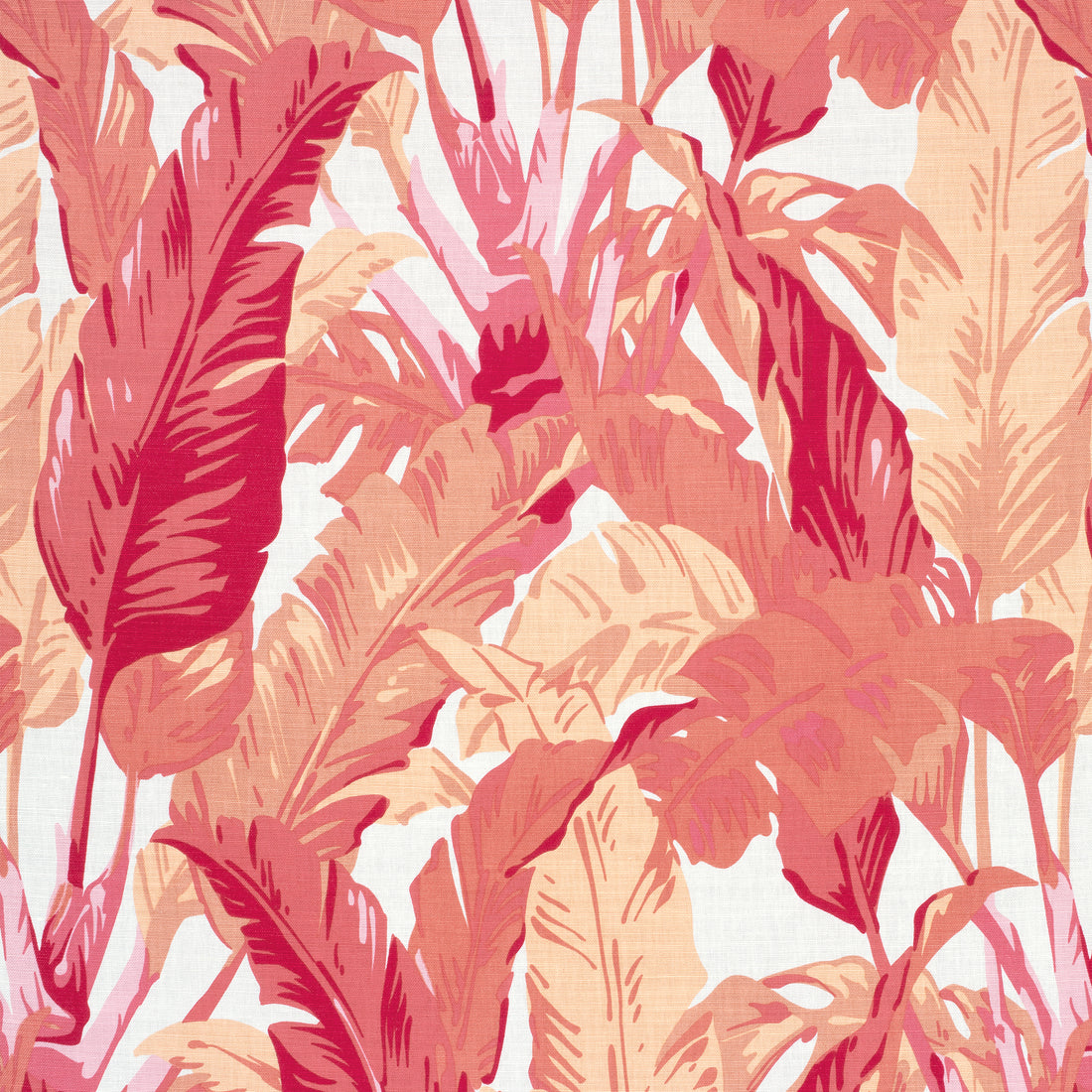 Travelers Palm fabric in pink and coral color - pattern number F910130 - by Thibaut in the Tropics collection